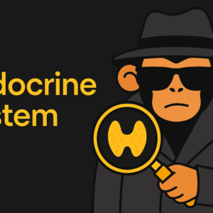 Endocrine System Midterm