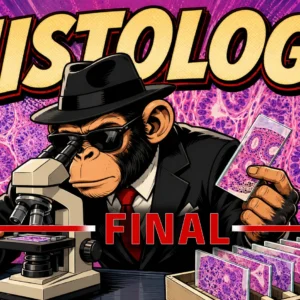 Histology Final (2026)